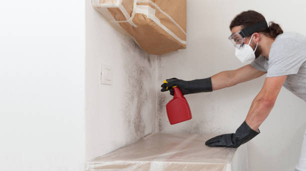 Professional Bathroom Mold Removal technician working in Cortez, FL
